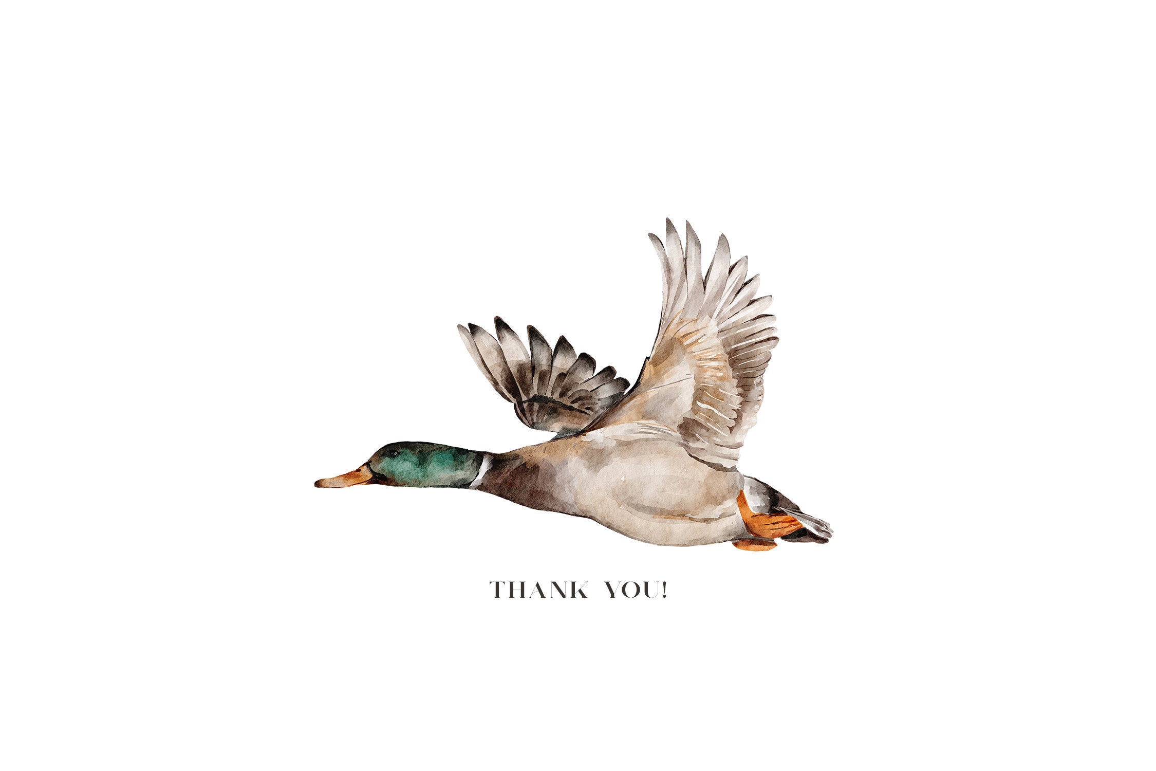 Autumn Forest Watercolor Collection | Woodland Animals Birds | Birds of ...