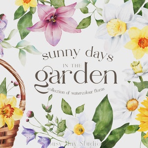 Aquarela Primavera jardim flores e folhas | Ilustrações de flores | Flores pintadas à mão | Narcisos aquarela | Girassóis | png