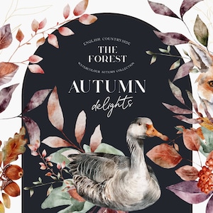Aquarelle Arrangements d’automne compositions | Animaux de la forêt Oiseaux | Feuilles d’automne Fleurs | Fox | Canards d’oie Animaux sauvages | Bois d’automne