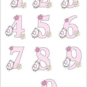 Pink Floral Number Clipart, Downloadable Clipart, Sublimation Printing