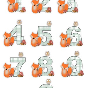 Woodland animal Number Clipart, Clipart téléchargeable, Sublimation Printing