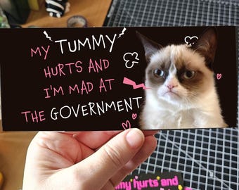 My Tummy Hurts Funny Bumper Car Sticker or Magnet, Cat Meme Vinyl Car Decal,  Humorous gift for  Pet Lover  Political Satire Car Sticker