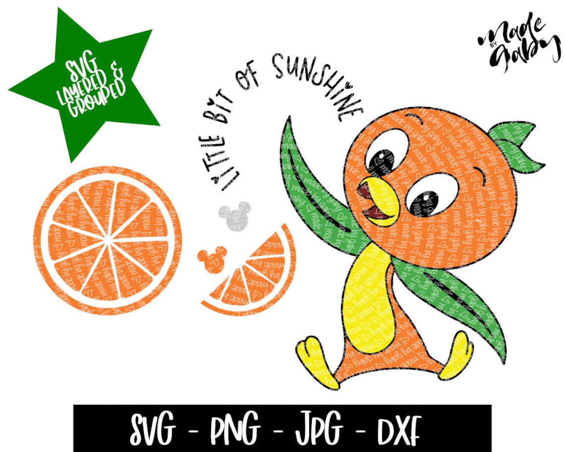 Orange bird svg orange slices svg disney orange bird svg | Etsy
