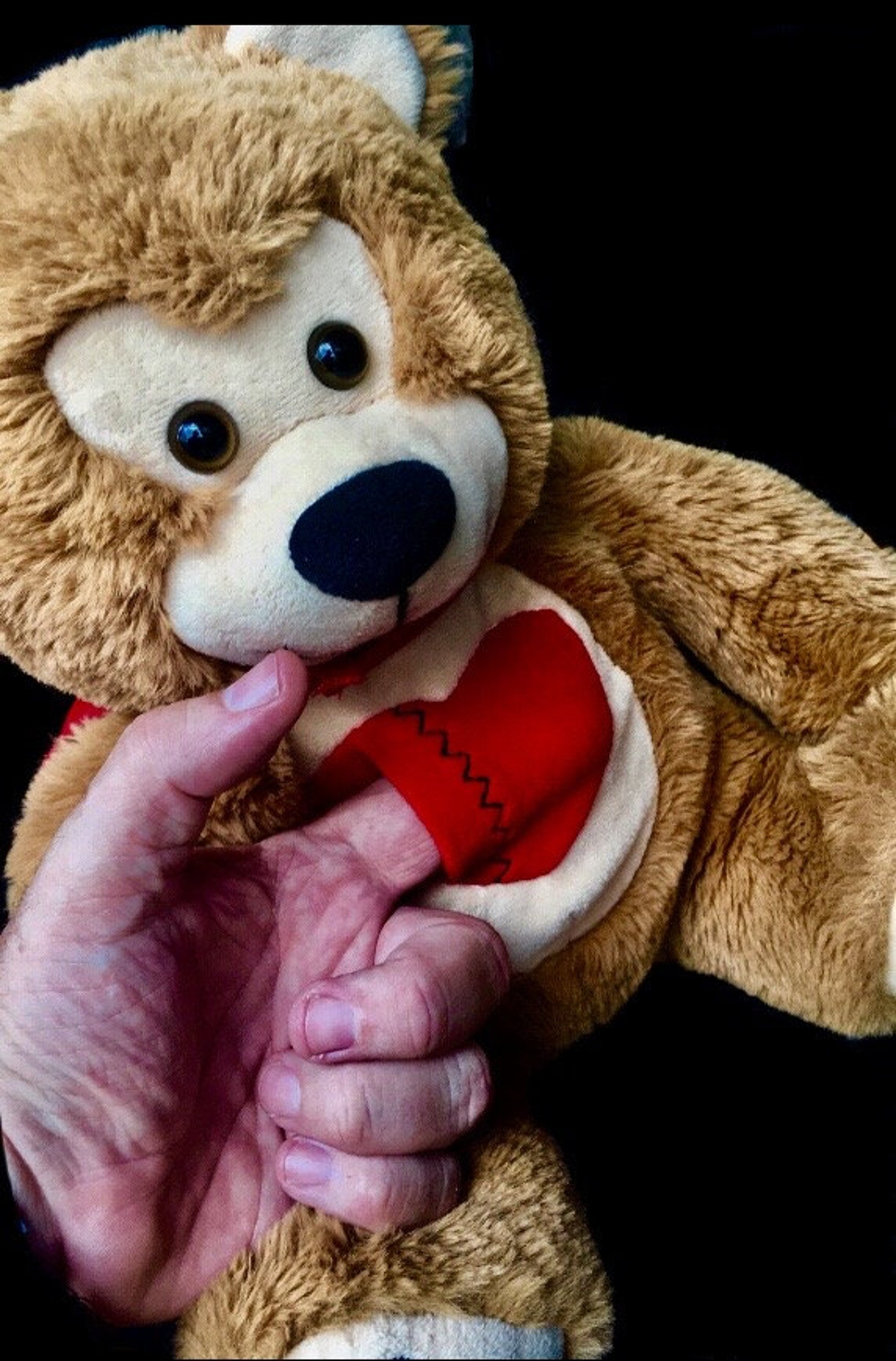 Eli Benjamin Bear Plush | Etsy