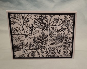Handmade Greeting Card (Set of 2) - Sea Fern