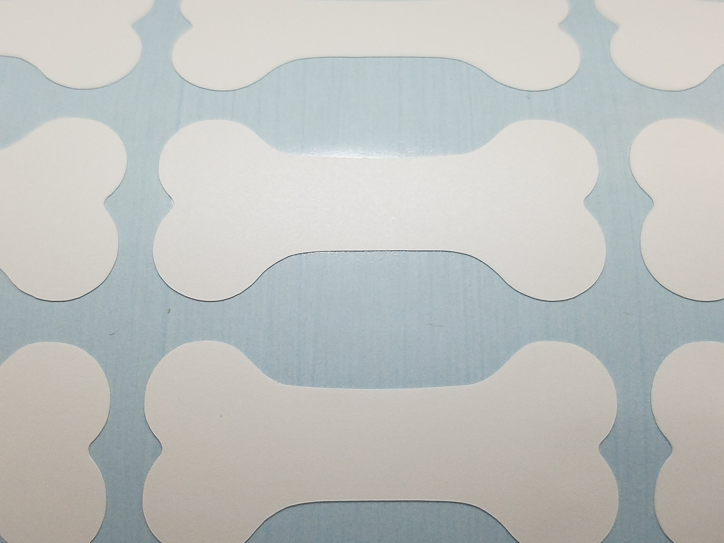 1/2 to 1.5 Dog Bone Vinyl Stickers Etsy