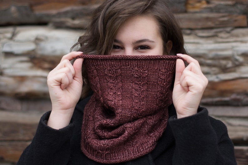 Heartnut Cowl by Knox Mountain Knit Co. digital download Knitting Pattern PDF image 2