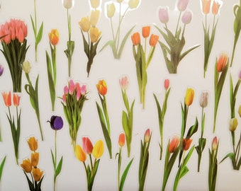 Tulpen Sticker Etsy