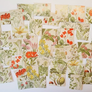 Juego de 46 sellos adhesivos Hebarium, adhesivos para postales, amor por la naturaleza, (4) retro, diario
