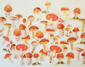 45 Fly agaric Stickers as a Set - Sticker Washi Bujo Seasonal Seasons Autumn Mushrooms