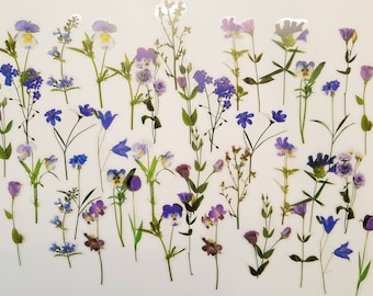 40 Teile lila Blumenset transparent   - Aufkleber durchsichtig Bujo Frühling Sommer
