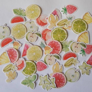 45 adesivos de frutas cítricas como um conjunto - adesivos bebida sazonal refresco sorvete de laranja