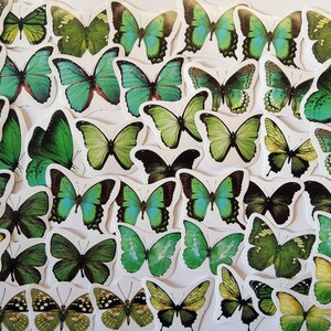 45 groene vlinderstickers als set - turquoise sticker Washi Bujo seizoensgebonden gele vlinder insecten lente zomer