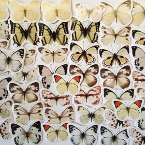 45 white butterfly stickers as a set - natural sticker Washi Bujo Seasonal yellow butterfly insects spring summer
