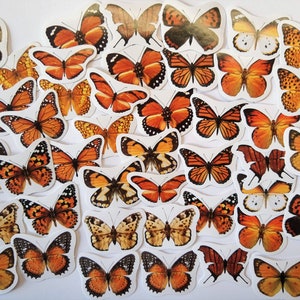 45 orange butterfly stickers as a set - mandarin sticker Washi Bujo seasonal yellow butterfly insects spring summer