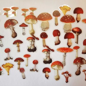 40 transparante paddestoelen vliegenzwamstickers maken stickers rood wit