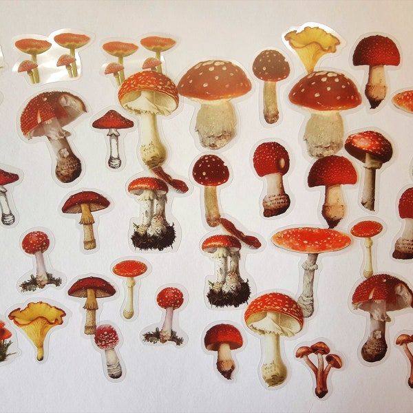 40 transparente Pilze Fliegenpilze Sticker Aufkleber basteln rot weiß