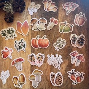 46 adesivos de frutas de outono em um conjunto - adesivos para criar, projetar e decorar no outono