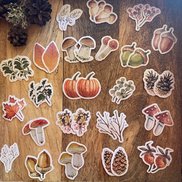 46 Aufkleber Früchtes des Herbstes im Set - Aufkleber zum basteln, gestalten und dekorieren im Herbst