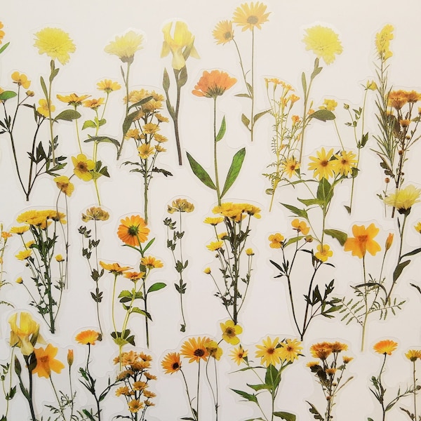 40 Teile gelbes Blumenset transparent   - Aufkleber durchsichtig Frühling Sommer