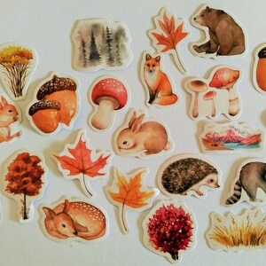 46 adesivi foresta autunnale con orso - bellissimi adesivi autunnali panoramici - per lavori manuali e diario