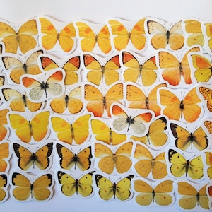 45 gelbe Schmetterlingssticker als Set  - Aufkleber Washi Bujo Saisonal gelb Schmetterling Insekten Frühling Sommer