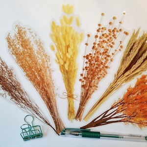 Set XXL Hierbas transparentes - Pegatina transparente Bujo Grano Verano Balcón Decoración Jarrón