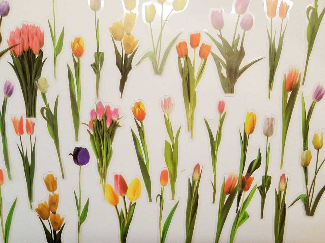 40 Transparent Flower Stickers, Decals, Crafting Tulips, Spring, Bujo ...