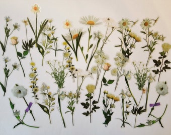 40 adesivos transparentes de flores brancas, adesivos artesanais, branco, roxo, Bujo Bulletjournal, bullet journal washi