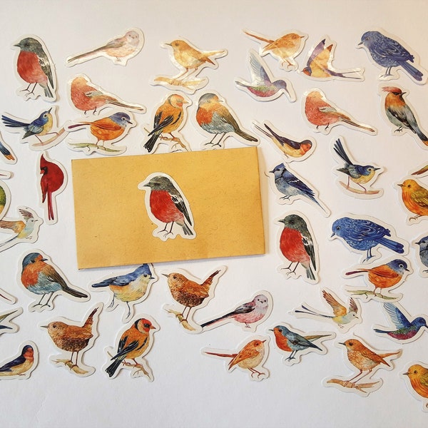 45 bird stickers as a set - stickers seasonal autumn seasons spring summer autumn sparrow chirp