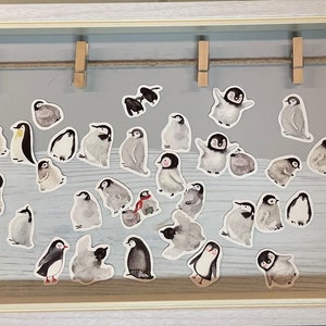 Penguin Friends – 45 stickers in a set with cute penguins (35)