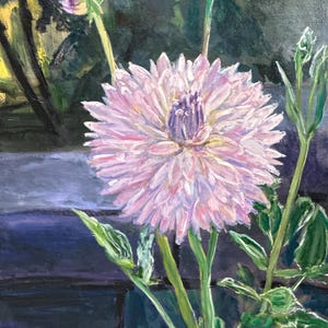 Dahlia