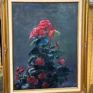 Begonia