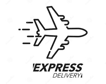 Express delivery overseas, fast delivery quick delivery