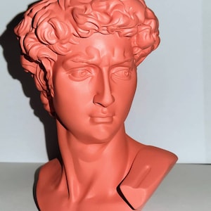 Bust of Michelangelo&#39;s David Statue Design KeeranSales