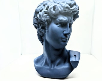Bust of Michelangelo's David Statue Design KeeranSales