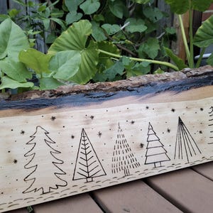 Woodburn Rustic Evergreen Art Wall Decor