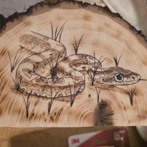 May include: A wood-burned art piece featuring a snake coiled in tall grass. The snake is detailed with a patterned body and a forked tongue. The artwork is on a half-circle wooden slab with a natural edge.