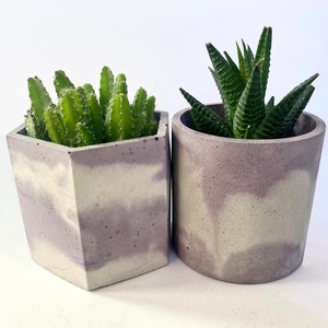 Purple/White Concrete Plant Pots • Round Plant Pot • Hexagon Plant Pot • Plant Pot With Stand • Personalised Plant Pot • Cactus Plant Pot