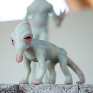 Alien pet new mexico