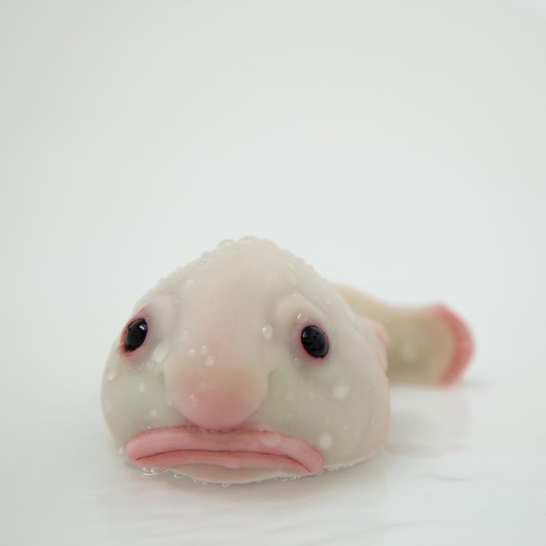 May include: A close-up of a blobfish, a deep-sea fish known for its gelatinous appearance and sad-looking face. The fish is white with a pink nose and small black eyes.