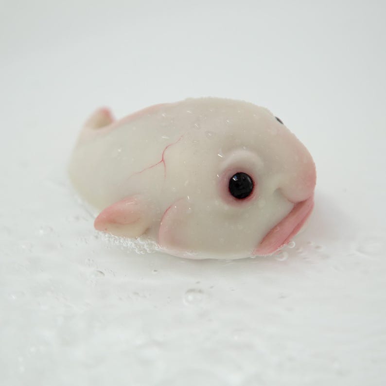 May include: A white blobfish toy with a pink mouth and black eyes. The toy is made of a soft, squishy material and is sitting on a white surface.