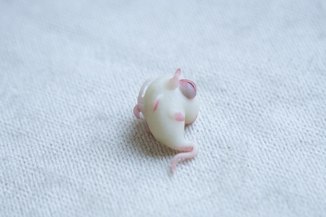Baby Dragon embryo clay sculpture by CocoonToy. Polymer clay Etsy