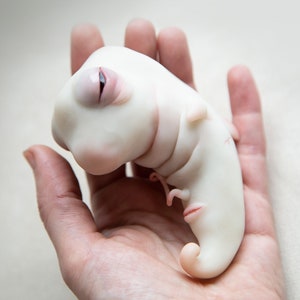OOAK Weird Baby Alien Embryo Sculpture: Polymer Clay Figurine