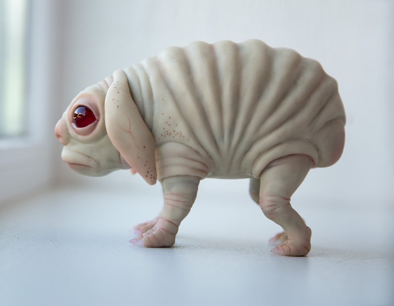 Squonk of Pennsylvania, creepy cute weird and sad PA cryptid creature, weird sculpture cryptid miniature, sad emote art doll creature gifts image 3