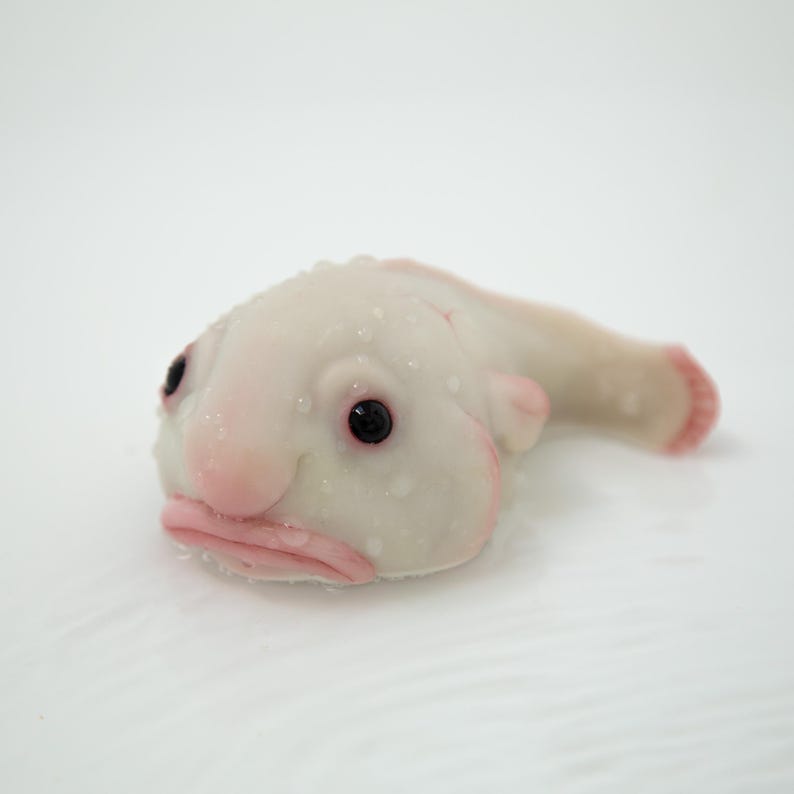 May include: A close-up of a white blobfish with pink lips and black eyes. The blobfish is a deep-sea fish that is known for its unusual appearance.