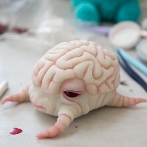 May include: A white, fleshy, brain-shaped creature with small, spindly legs. The creature has a detailed brain texture and a single, large, dark eye.
