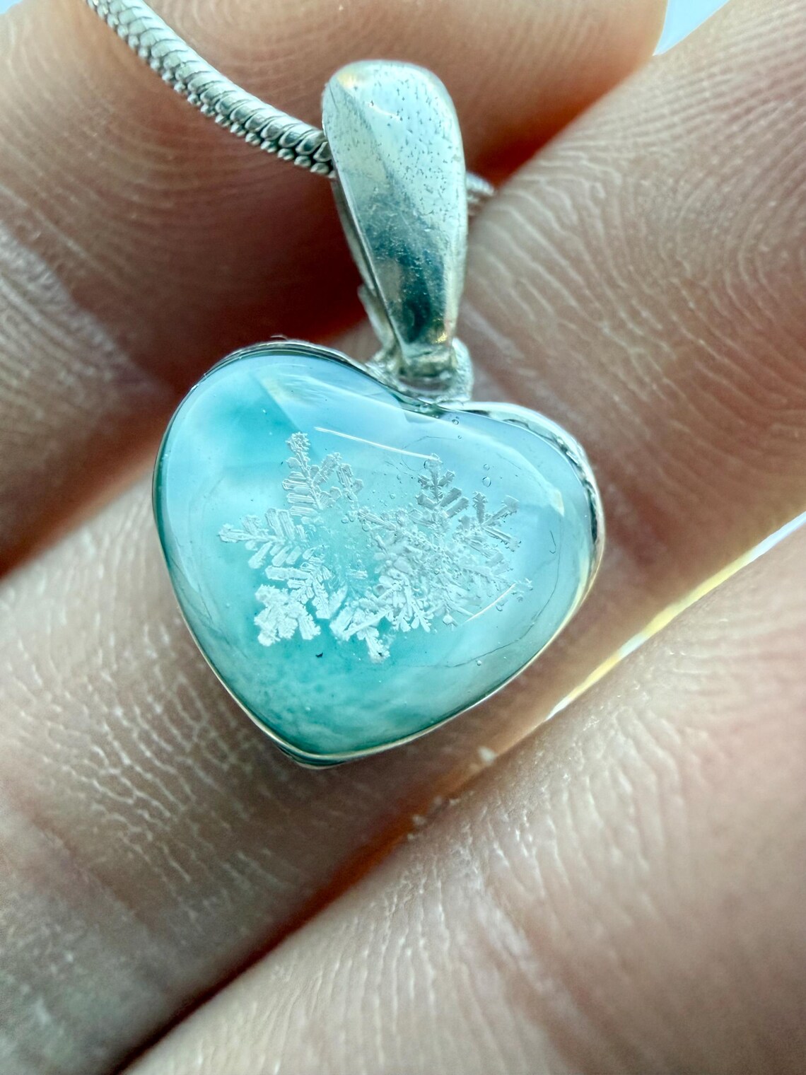 Real Snowflake Preserved Artist Danielle Oliver Captured Real