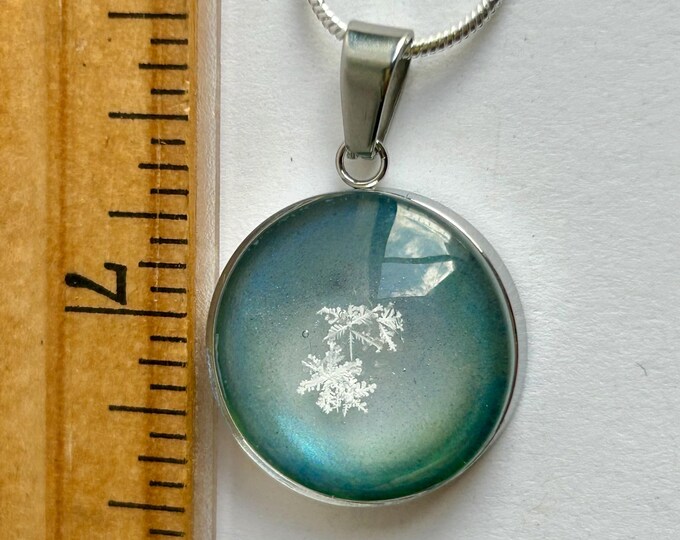 Real Snowflake Preserved Artist Danielle Oliver Captured Real