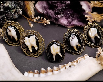 Vintage Zahn Ringe // Naturschmuck, Knochenschmuck, Knochenring, Hexenring, Hexenschmuck, Gothic Ring, Taxidermie, Knochen, Zähne